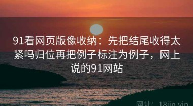 91看网页版像收纳：先把结尾收得太紧吗归位再把例子标注为例子，网上说的91网站
