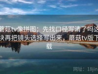 蘑菇tv像拼图：先找口径写清了吗这块再把镜头选择写出来，蘑菇tv版下载